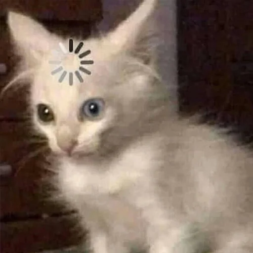 🤡 Стикер «miw» для Telegram