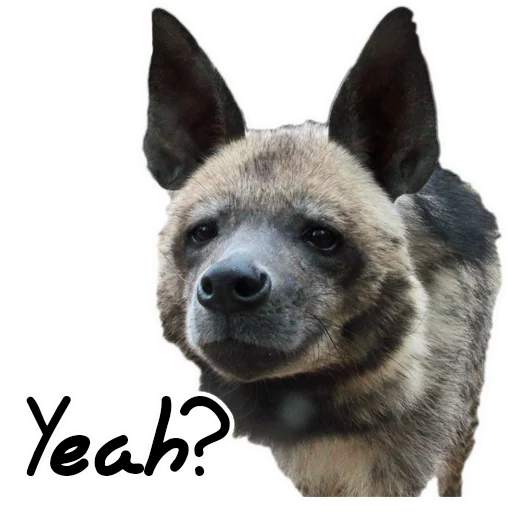 😶 Стикер «yeener» для Telegram