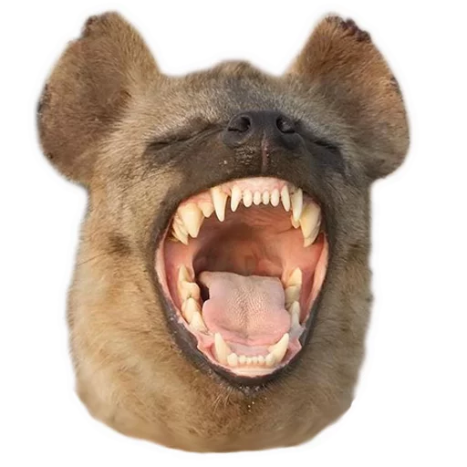 😆 Стикер «yeener» для Telegram