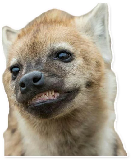 😁 Стикер «yeener» для Telegram