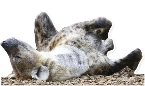 😴 Стикер «yeener» для Telegram