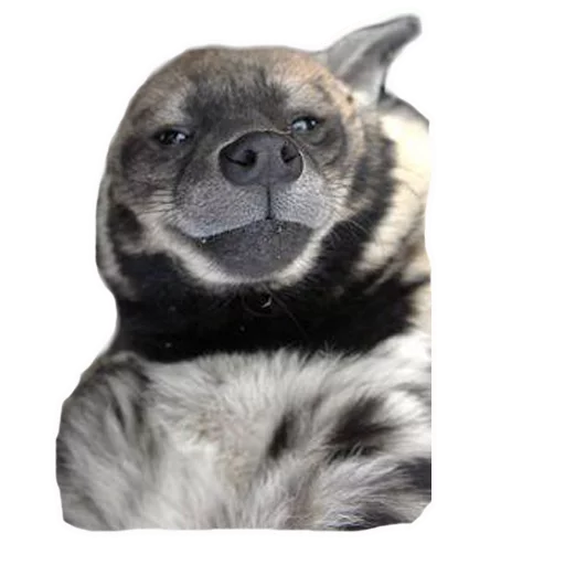 🍺 Стикер «yeener» для Telegram