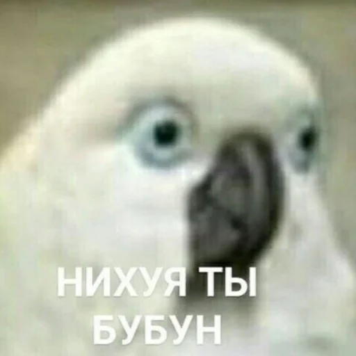 😬 Стикер «милые милости и депрессия» для Telegram