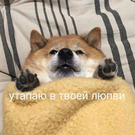 Стикерпак милые милости и депрессия для Telegram