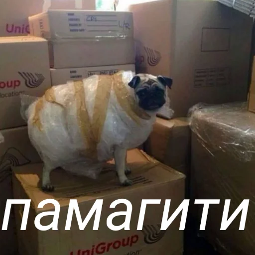 🙏 Стикер «милые милости и депрессия» для Telegram