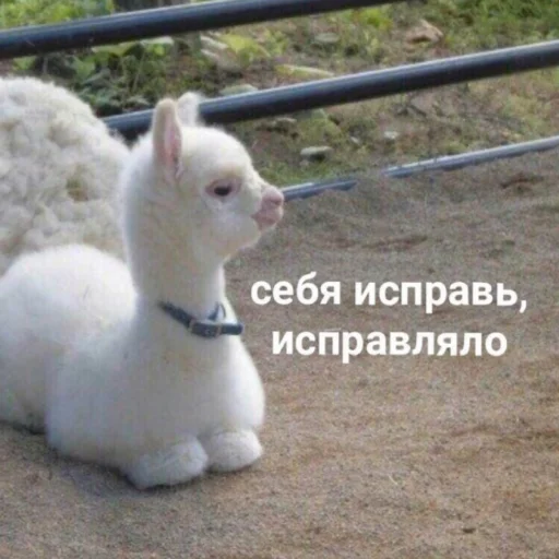 😠 Стикер «милые милости и депрессия» для Telegram