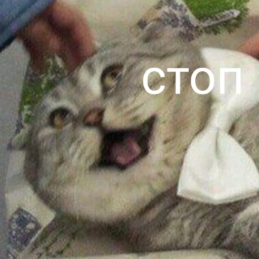 😠 Стикер «милые милости и депрессия» для Telegram