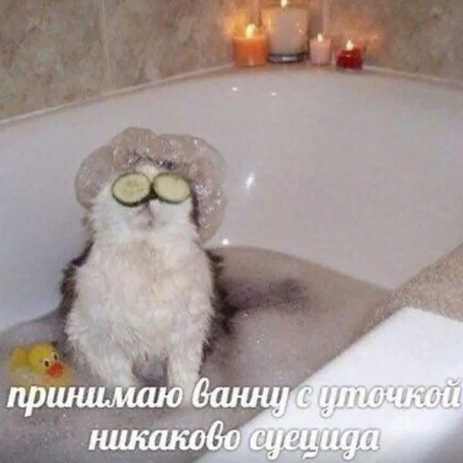 🛀 Стикер «милые милости и депрессия» для Telegram
