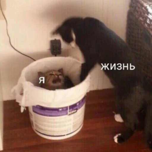 🤨 Стикер «милые милости и депрессия» для Telegram