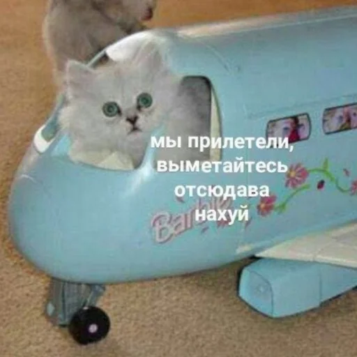👋 Стикер «милые милости и депрессия» для Telegram