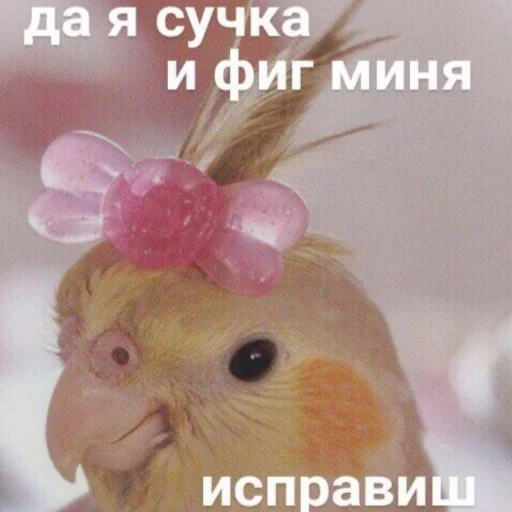 😏 Стикер «милые милости и депрессия» для Telegram