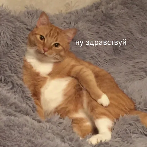 👋 Стикер «милые милости и депрессия» для Telegram