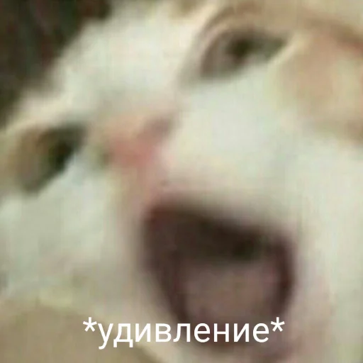 😱 Стикер «милые милости и депрессия» для Telegram