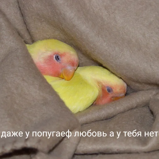 😞 Стикер «милые милости и депрессия» для Telegram