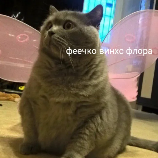 🧚‍♀ Стикер «милые милости и депрессия» для Telegram