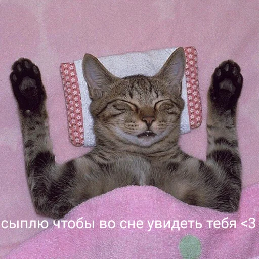 ❤️ Стикер «милые милости и депрессия» для Telegram