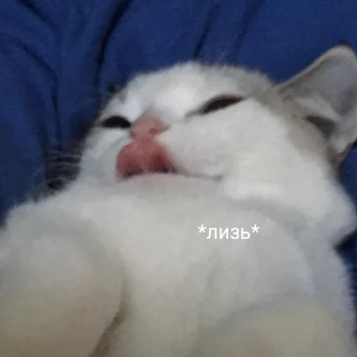 👅 Стикер «милые милости и депрессия» для Telegram
