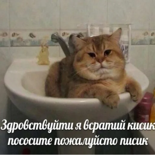 😀 Стикер «милые милости и депрессия» для Telegram