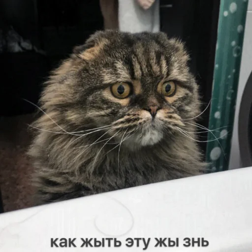 🤔 Стикер «милые милости и депрессия» для Telegram