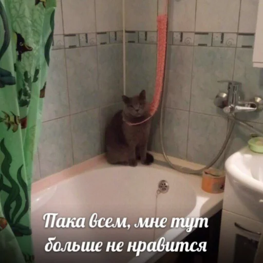 👋 Стикер «милые милости и депрессия» для Telegram