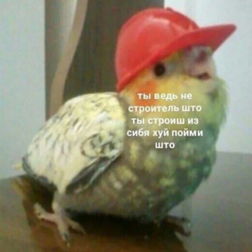 🙄 Стикер «милые милости и депрессия» для Telegram