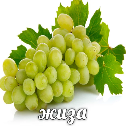 🍇 Стикер «Хайповая еда» для Telegram