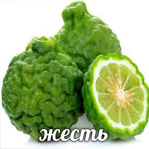 🍏 Стикер «Хайповая еда» для Telegram