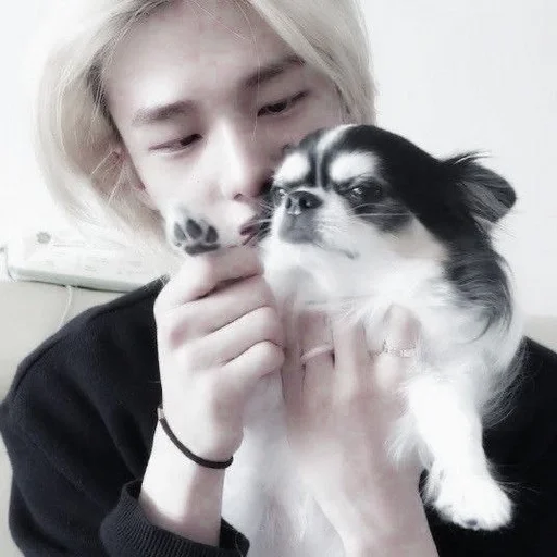 🥥 Стикер «hyunjin» для Telegram