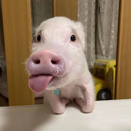 😛 Стикер «Хрюкни» для Telegram