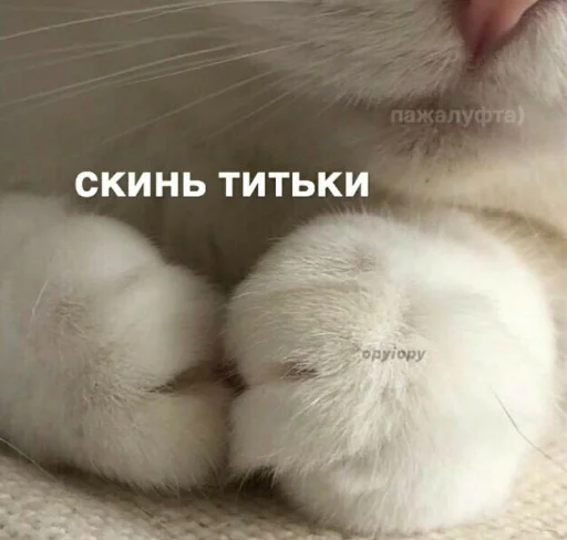 ❤️ Стикер «я люблю тебя!!» для Telegram