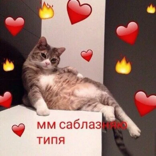 ❤️ Стикер «я люблю тебя!!» для Telegram