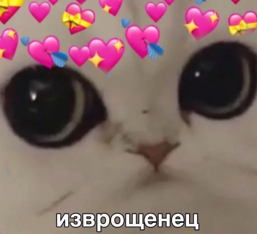 ❤️ Стикер «я люблю тебя!!» для Telegram