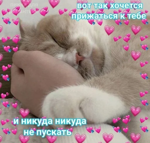 ❤️ Стикер «я люблю тебя!!» для Telegram