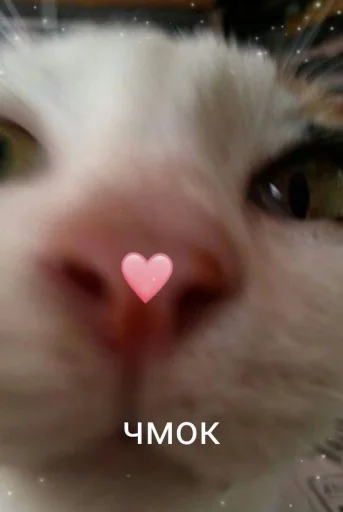 ❤️ Стикер «я люблю тебя!!» для Telegram