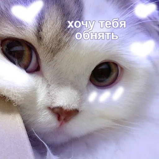 ❤️ Стикер «я люблю тебя!!» для Telegram