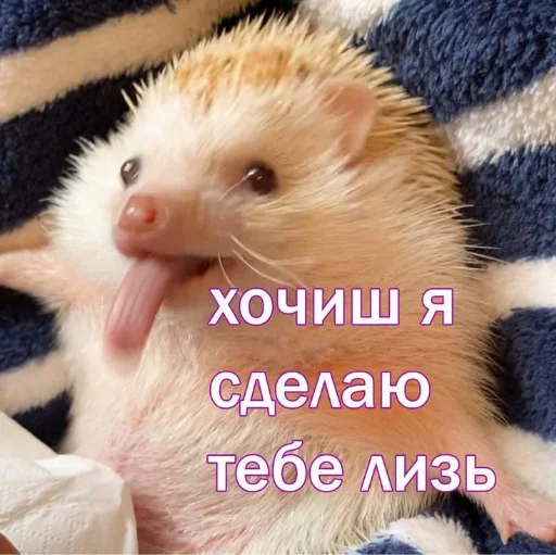 ❤️ Стикер «я люблю тебя!!» для Telegram