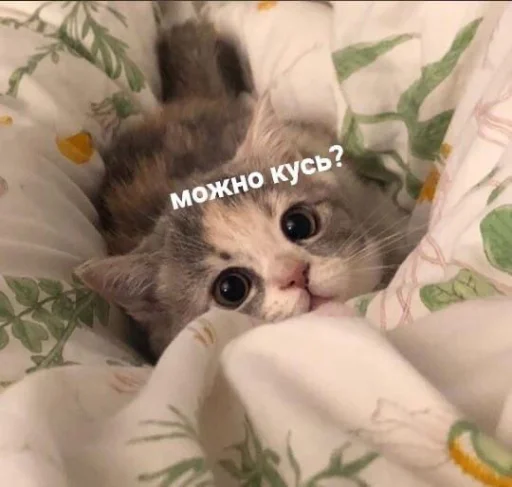❤️ Стикер «я люблю тебя!!» для Telegram