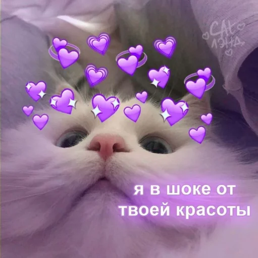 ❤️ Стикер «я люблю тебя!!» для Telegram