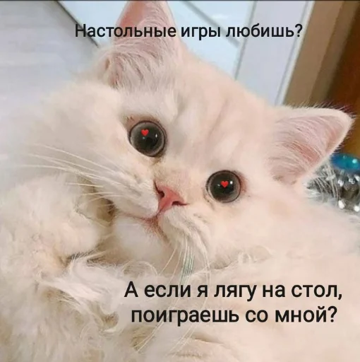 ❤️ Стикер «я люблю тебя!!» для Telegram