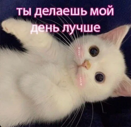 ❤️ Стикер «я люблю тебя!!» для Telegram