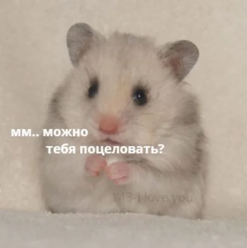 ❤️ Стикер «я люблю тебя!!» для Telegram