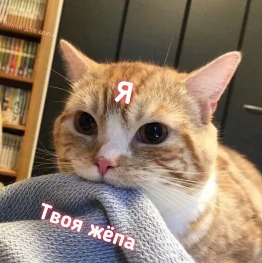 ❤️ Стикер «я люблю тебя!!» для Telegram