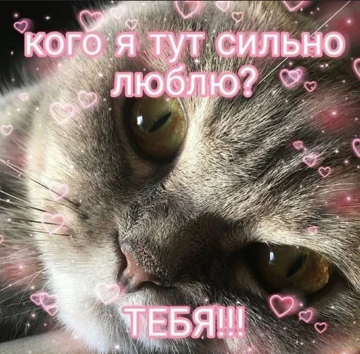 ❤️ Стикер «я люблю тебя!!» для Telegram