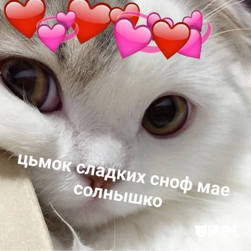 ❤ Стикер «я люблю тебя!!» для Telegram