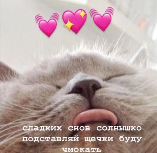 ❤️ Стикер «я люблю тебя!!» для Telegram