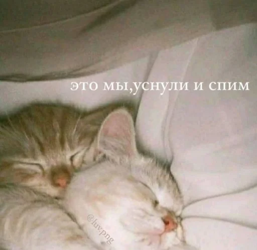 ❤️ Стикер «я люблю тебя!!» для Telegram