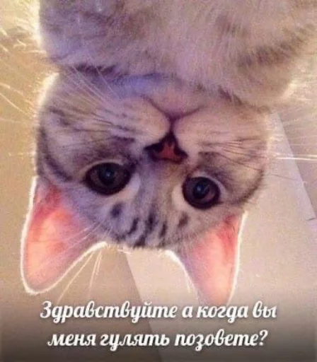 ❤️ Стикер «я люблю тебя!!» для Telegram