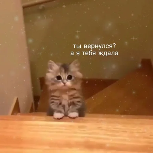 ❤️ Стикер «я люблю тебя!!» для Telegram