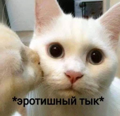 ❤️ Стикер «я люблю тебя!!» для Telegram