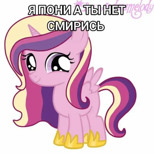 Стикерпак Я пони а ты нет для Telegram